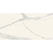 Douglas Jones Magnum vloer- en wandtegel 60X120cm Statuario Gesatineerd SW854830