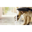 Hansgrohe Dogshower douche voor de hond mat zwart SW651010