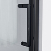Saniclass Neptune 6211 Douchedeur - 60x200cm - veiligheidsglas - anti kalk - profiel mat zwart SW538535