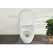 Royal plaza Brioso Douche WC Randloos met fohn en ladydouche Glans Wit SW717827