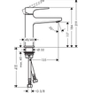 Hansgrohe Metropol wastafelkraan 110 met wasste chroom SW99785