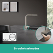 Hansgrohe Aquno Select M81 1-gats keukenkraan 250 2jet m. uittrekbare uitloop RVS-look SW541629