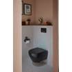 Villeroy & Boch Viconnect bedieningsplaat E300 DF frontbediend 25.3x14.5cm kunststof zwart/matchroom SW106658