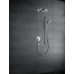 Hansgrohe Raindance select s 120 glijstangset ecosmart comfort 90cm chroom SW66593