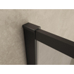 Wiesbaden Square inloopdouche 800 x 2000 x 10 mm nano helder glas/mat zwart SW484791