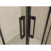 Wiesbaden Skyline hoekinstap cabine met 2 schuifdeuren 1000 x 1000 x 2000 x 8 mm nano helder glas/mat zwart SW440367