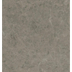 Atlas Concorde Marvel Meraviglia wand- en vloertegel - 120x120cm - 9mm - gerectificeerd - Porcellanato - Grigio Elegante (Grijs) SW1175239