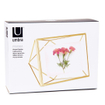 Umbra Prisma fotolijst 15x20x7cm staal goud mat SW539262