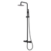 Wiesbaden 304 thermostatische regendoucheset opbouw mat zwart SW373491