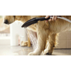 Hansgrohe Dogshower douche voor de hond mat zwart SW651010
