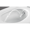 Geberit Aquaclean Sela Douche Wc - 37.5x56.5cm - softclose - keratect - alpine wit SW258981