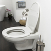 Tiger Toiletbril Pasadena Softclose Thermoplast Wit 37.1x5.7x44.6cm SW25335