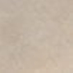 Edimax Astor Golden Age wand- en vloertegel - 60x60cm - 10mm - Vierkant - gerectificeerd - Marmerlook - Beige mat SW545384