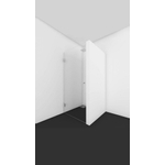 Van Rijn Products ST01 Nisdeur 8mm helder Clearglas HxB 198.8x79.4 voor nis 80cm chroom beslag SW405589