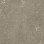 Beste Koop Harmony Vloer- en wandtegel 100x100cm 8.5mm gerectificeerd R10 porcellanato Taupe SW543593