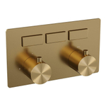BRAUER Gold Edition - 3 functies - inbouwthermostaat - drukknoppen - in/afbouwdelen - goud geborsteld PVD SW925646