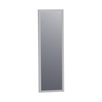 BRAUER Onyx spiegel - 25x80cm - rechthoekig - aluminium-kleurig geborsteld frame SW353737