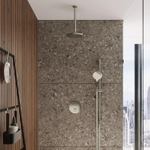 Hotbath Cobber IBS22 Regendoucheset inbouw - 15cm plafondarm - 30cm ronde hoofddouche - 3 standen handdouche - glijstang - nikkel geborsteld SW299057