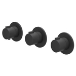 IVY Pact Afbouwdeel - voor Inbouwthermostaat - 2 stopkranen - Symmetry - ronde rozetten - Mat zwart PED SW1030977