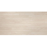 Vtwonen Raw Decortegel 60x120cm 9.5mm Sand SW670151