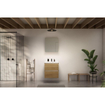 Nemo Start badkamermeubelset - 60x65x49.5cm - 2 lades - greeploos - 1 wasbak wit glans - 1 kraangat - met spiegelkast - MDF Riverside Oak SW911702