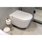 Royal plaza Juglans Douche WC Randloos met fohn en ladydouche Glans Wit SW717827