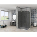 Van Rijn Products ST08 Vaste wand 985-1005 x 2000mm 8 mm Grijs rookglas incl. Glasbehandeling RVS muurprofiel SW956389