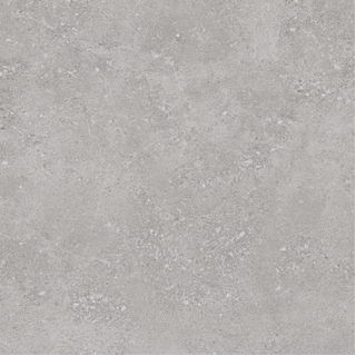 STN Ceramica wand- en vloertegel - 59.5x59.5cm - 9.5mm - gerectificeerd - Natuursteen look - Grey