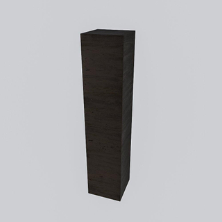 MONDIAZ BEAM 160cm Kolomkast - 2 deuren - Dark brown