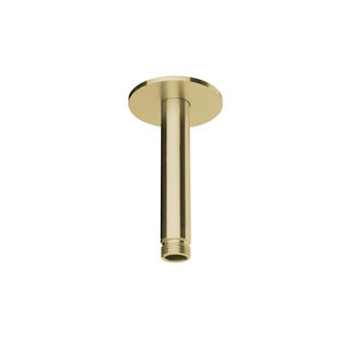 Herzbach SPA iX pvd plafondarm 100 rozet 70 rond brass 7x10cm steel