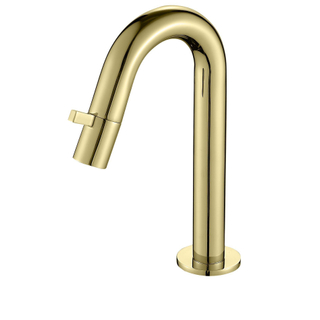 Best Design Nancy Macine toiletkraan keramisch binnenwerk 21cm goud mat