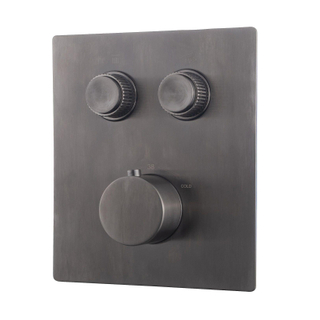 Wiesbaden Caral Klik Pro inbouw thermostatisch douchekraan 2 functies met inbouwdeel Gunmetal