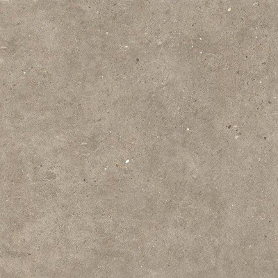 Italgraniti Silver grain Vloer- en wandtegel 80x80cm 9.5mm gerectificeerd porcellanato Taupe