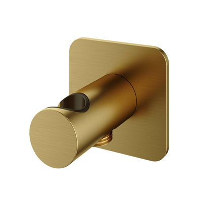 Hotbath Gal wandsteun met Uitlaat Geborsteld messing PVD