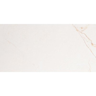 Vtwonen tegels Classic 100231 Vloertegel 300X600 Caramel 10mm Glans Ret.