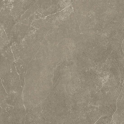 Beste Koop Harmony Vloer- en wandtegel 100x100cm 8.5mm gerectificeerd R10 porcellanato Taupe