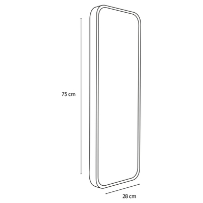 Differnz Spiegel Aluminium 28 x 75 cm mat zilver