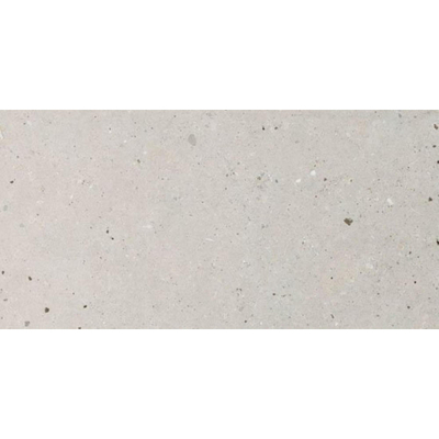 Italgraniti Silver grain Vloer- en wandtegel 60x120cm 9.5mm gerectificeerd porcellanato Grey
