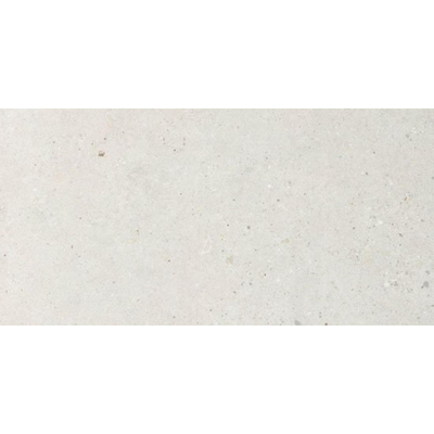 Italgraniti Silver grain Vloer- en wandtegel 60x120cm 9.5mm gerectificeerd porcellanato White