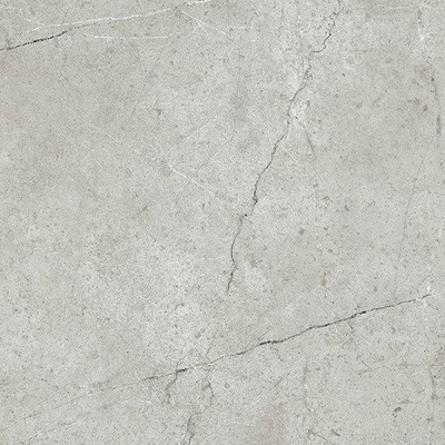 Beste Koop Harmony Vloer- en wandtegel 100x100cm 8.5mm gerectificeerd R10 porcellanato Grey