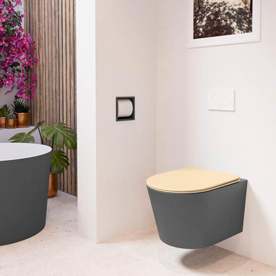 MONDIAZ LAVIE wandclosetpack - 36x53cm - diepspoel - rimless - Dark grey (grijs) - softclose - quick-release - toiletzitting - Sand (beige)