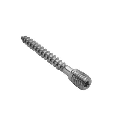 RHEINZINK schroefstift RVS voor scharnierpijpbeugel M10x70mm