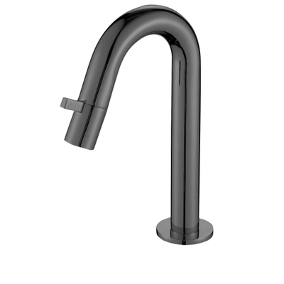 Best Design Moya Dimora toiletkraan keramisch binnenwerk 21cm Gunmetal