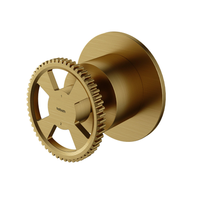 Hotbath Cobber @work inbouwkraan met 2 functies omstel geborsteld messing pvd