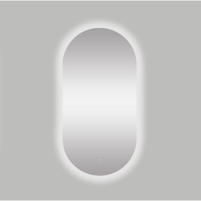 Best Design Seldy spiegel 50x100cm ovaal inclusief verlichting