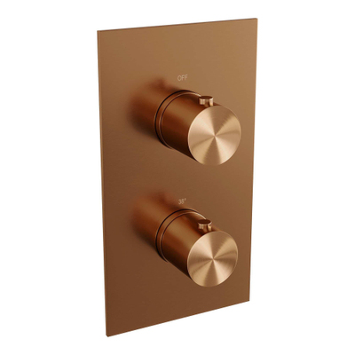 Brauer Copper Edition Regendoucheset inbouw - hoofddouche 20cm - gladde knop - handdouche Staaf 1 stand - glijstang - PVD - geborsteld koper