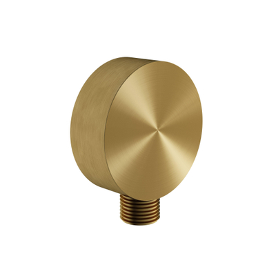 Hotbath Archie Wanduitlaat - geschikt voor doucheslang - geborsteld messing PVD