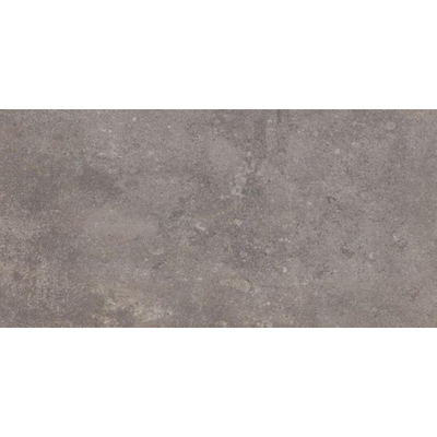 SAMPLE Beste Koop Phorma Vloer- en wandtegel 30x60cm 8.8mm gerectificeerd R10 porcellanato Musk
