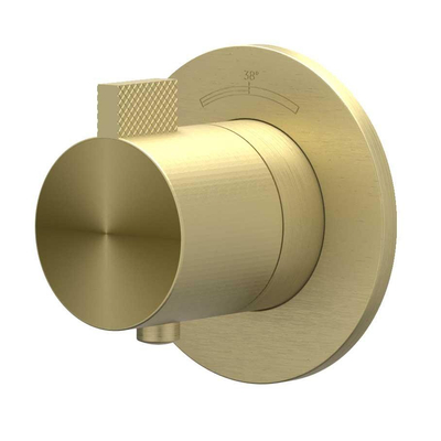 IVY TribeAfbouwdeel - voor Inbouwthermostaat - symmetry - rond rozet - RVS316 - geborsteld mat goud PVD