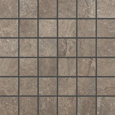 Douglas jones Marbles VLMoz. - 30X30 - 9,5mm - gerectificeerd - Wells Moka Glans